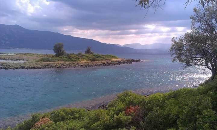 Nana Hotel Kamena Vourla Dış mekan fotoğraf