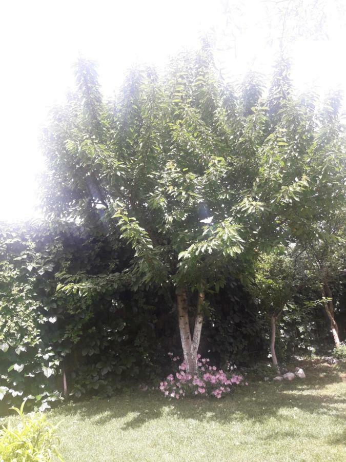 Nana Hotel Kamena Vourla Dış mekan fotoğraf